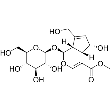 CS-0017048
