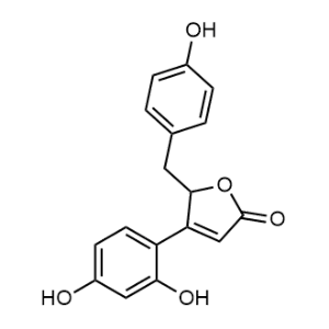 Puerol A|CS-0017123