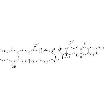 Concanamycin A|CS-0017399