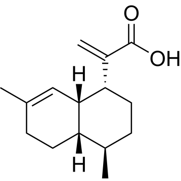 CS-0018305