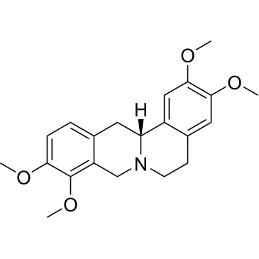 D-Tetrahydropalmatine|CS-0018323