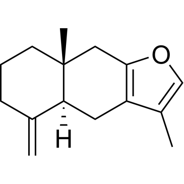 CS-0018600