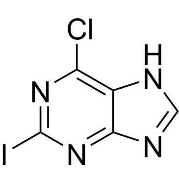 6-Chloro-2-iodo-7H-purine|CS-0018977