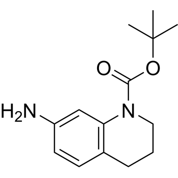 tert-Butyl 7-amino-3,4-dihydroquinoline-1(2H)-carboxylate|CS-0019161