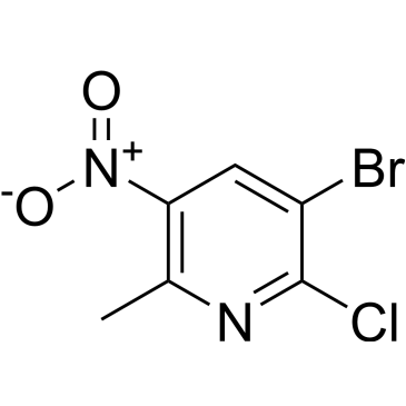 CS-0019331