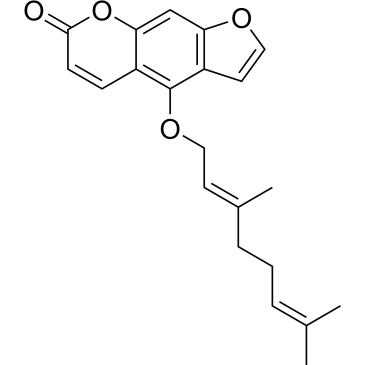 CS-0019502