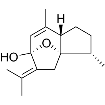 CS-0019588