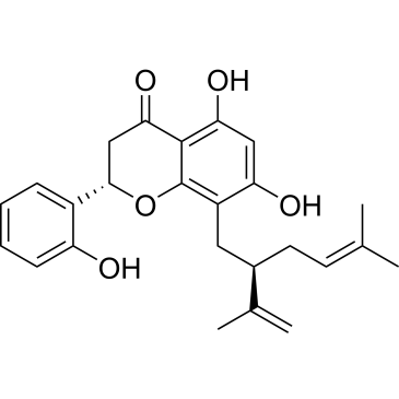CS-0019607