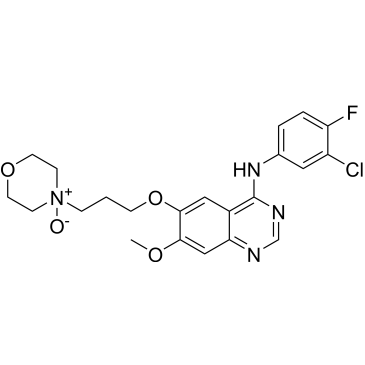 Gefitinib N-oxide|CS-0019870