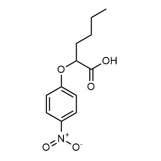 2-(4-nitrophenoxy)hexanoic acid|CS-0020137