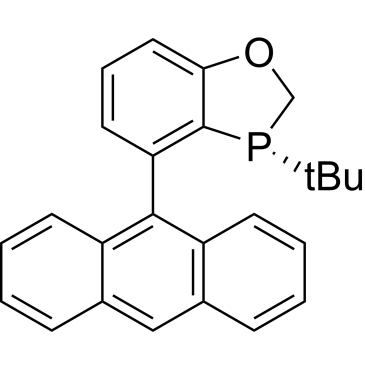 (R)-AntPhos|CS-0020503