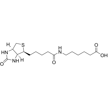 N-Biotinyl-6-aminohexanoic acid|CS-0020994