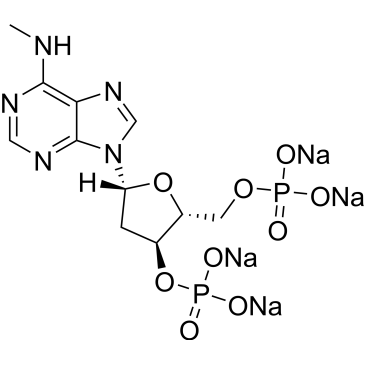 CS-0021129