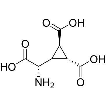 DCG-IV|CS-0021174