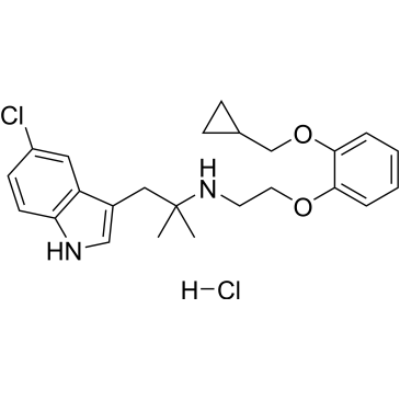 CS-0021176