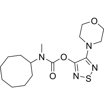 CS-0021371