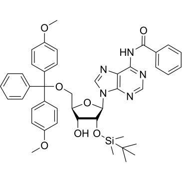 5'-O-DMT-2'-O-TBDMS-N-Bz-Adenosine|CS-0021845