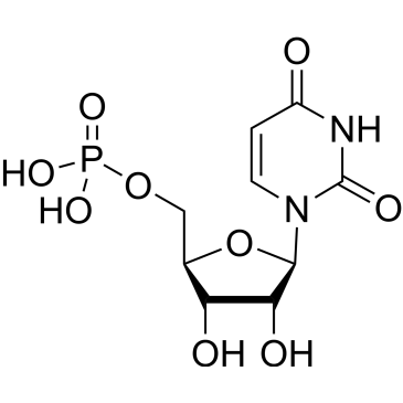 Uridine 5'-monophosphate|CS-0022391