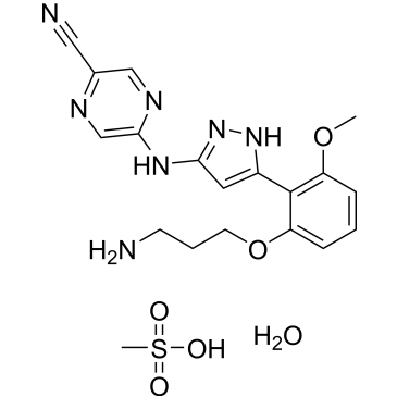 CS-0022421