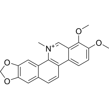 CS-0022541