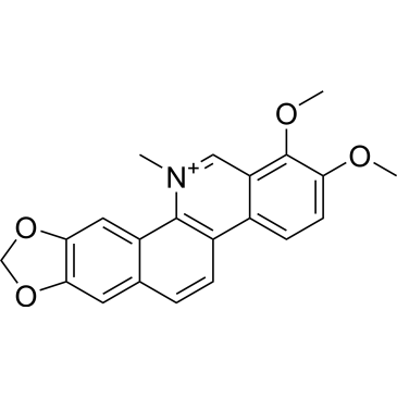 Chelerythrine|CS-0022541