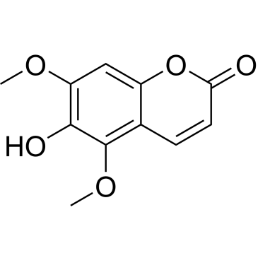 CS-0022552