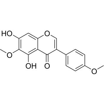 CS-0022613