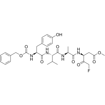 CS-0022663
