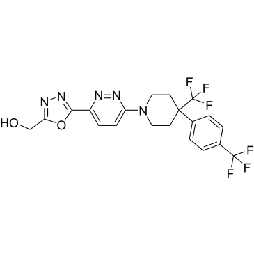 CS-0022838