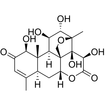CS-0022968