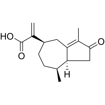 CS-0022973