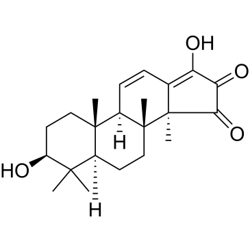 CS-0023289