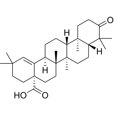 Moronic acid|CS-0023704