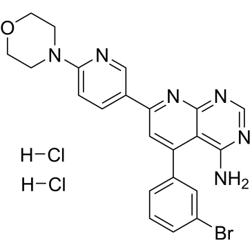 CS-0025018