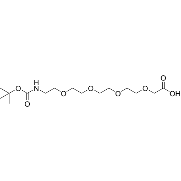 Boc-NH-PEG4-CH2COOH|CS-0025223