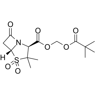 Sulbactam pivoxil|CS-0028149