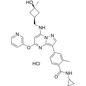 CS-0028213