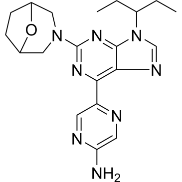 CS-0028215