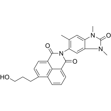 CS-0028452