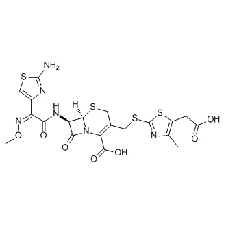 Cefodizime|CS-0028575