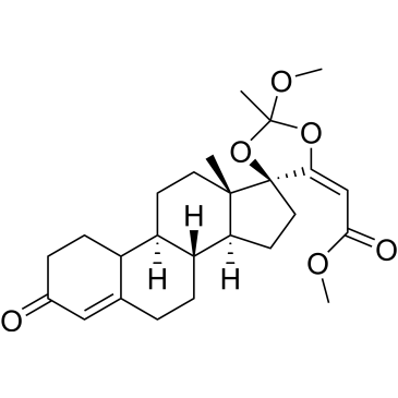 CS-0028600