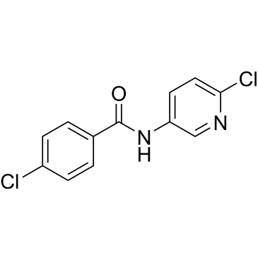 ICA 110381|CS-0029253