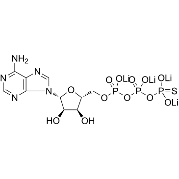 CS-0029431