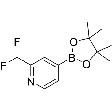 1193104-53-8 | 2-(Difluoromethyl)-4-(4,4,5,5-tetramethyl-1,3