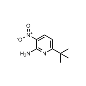 6-(1,1-Dimethylethyl)-3-nitro-2-pyridinamine|CS-0029845