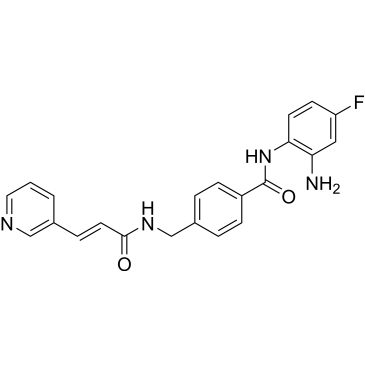 CS-0030513