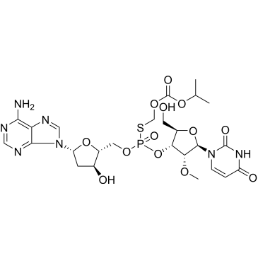 CS-0030656