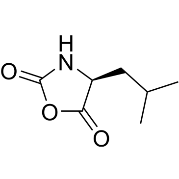 L-Leucine NCA|CS-0031376