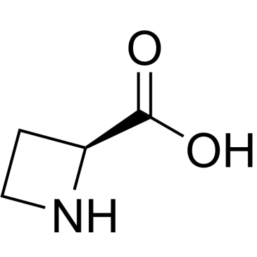 L-Azetidine-2-carboxylic acid|CS-0031389