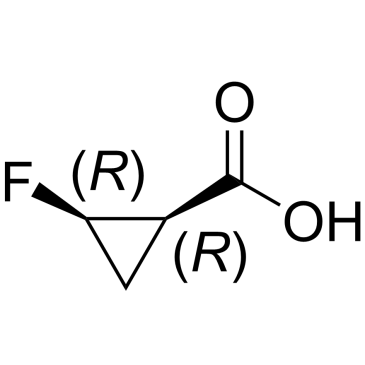 CS-0031485